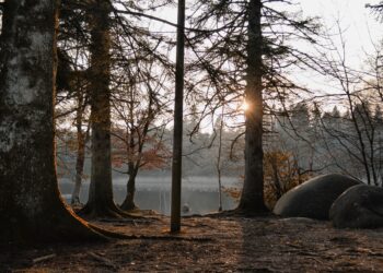 Czy Kaszuby to dobre miejsce na odpoczynek i regenerację?